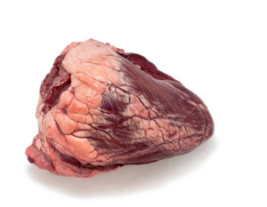 Heart